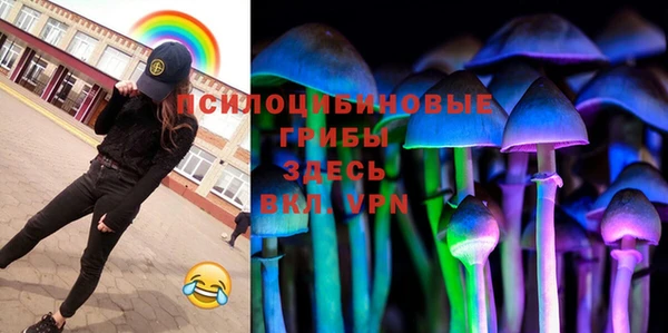 стаф Краснослободск