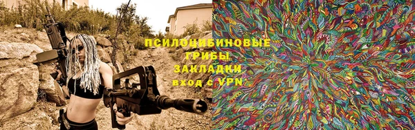 стаф Краснослободск