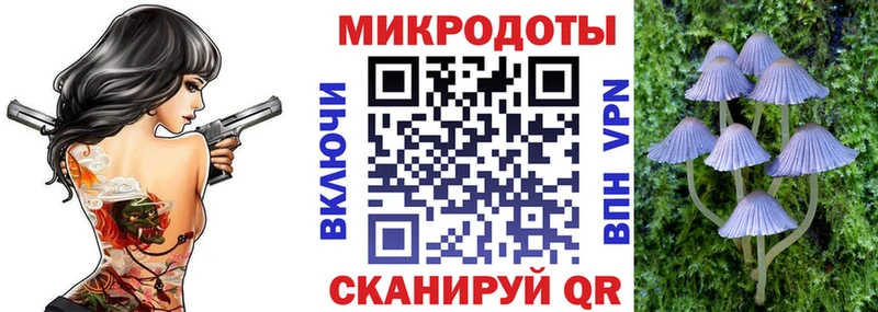Псилоцибиновые грибы Cubensis  Чухлома 